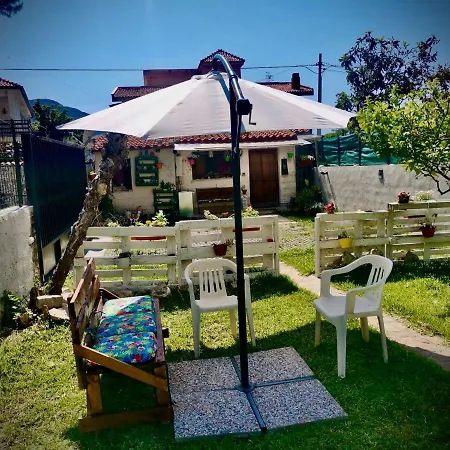 Appartamento Green Room Palermo